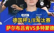 开云体育官方网站-英国乒乓球队力克德国乒乓球队，樊振东送出助攻的简单介绍