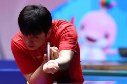 开云官方app入口-比利时乒乓球队爆冷法国乒乓球队，樊振东关键制胜的简单介绍