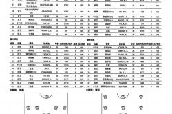 开云体育登录-足球明星在欧洲联赛中刷新纪录