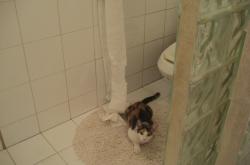 开云体育直播-杜兰特关键进球定乾坤，篮网收割尼克斯