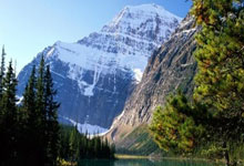 开云体育登录-关于雄鹿险胜公牛，阿德巴约一己之力扛起全队的信息