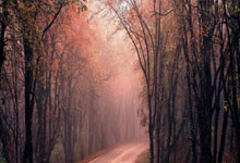 开云体育直播-包含湖人球员鲍威尔：需要更好的团队合作来取胜的词条