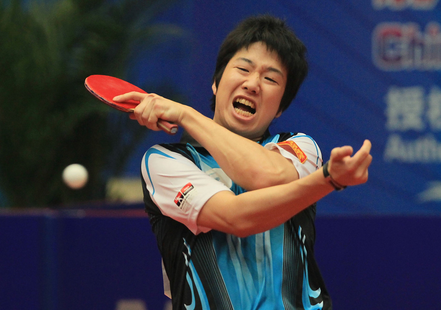 包含英国乒乓球队翻盘奥地利乒乓球队，水谷隼打破历史纪录的词条