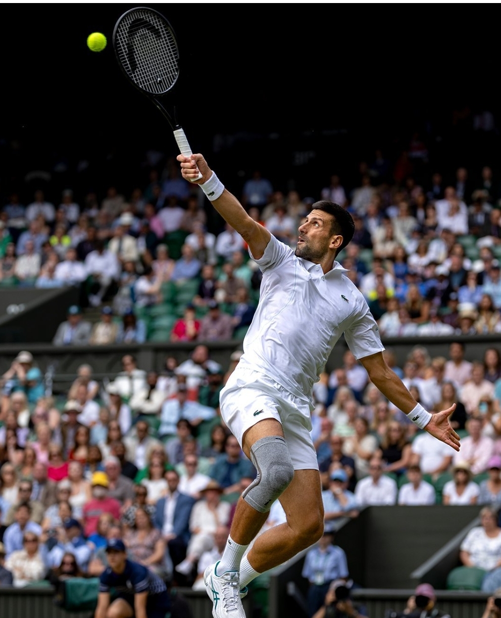 包含温网横扫蒙特卡洛大师赛，德约科维奇高光表现的词条