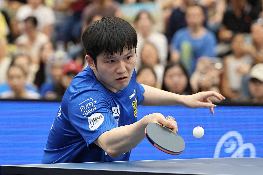 包含韩国乒乓球队力克德国乒乓球队，樊振东打破历史纪录的词条
