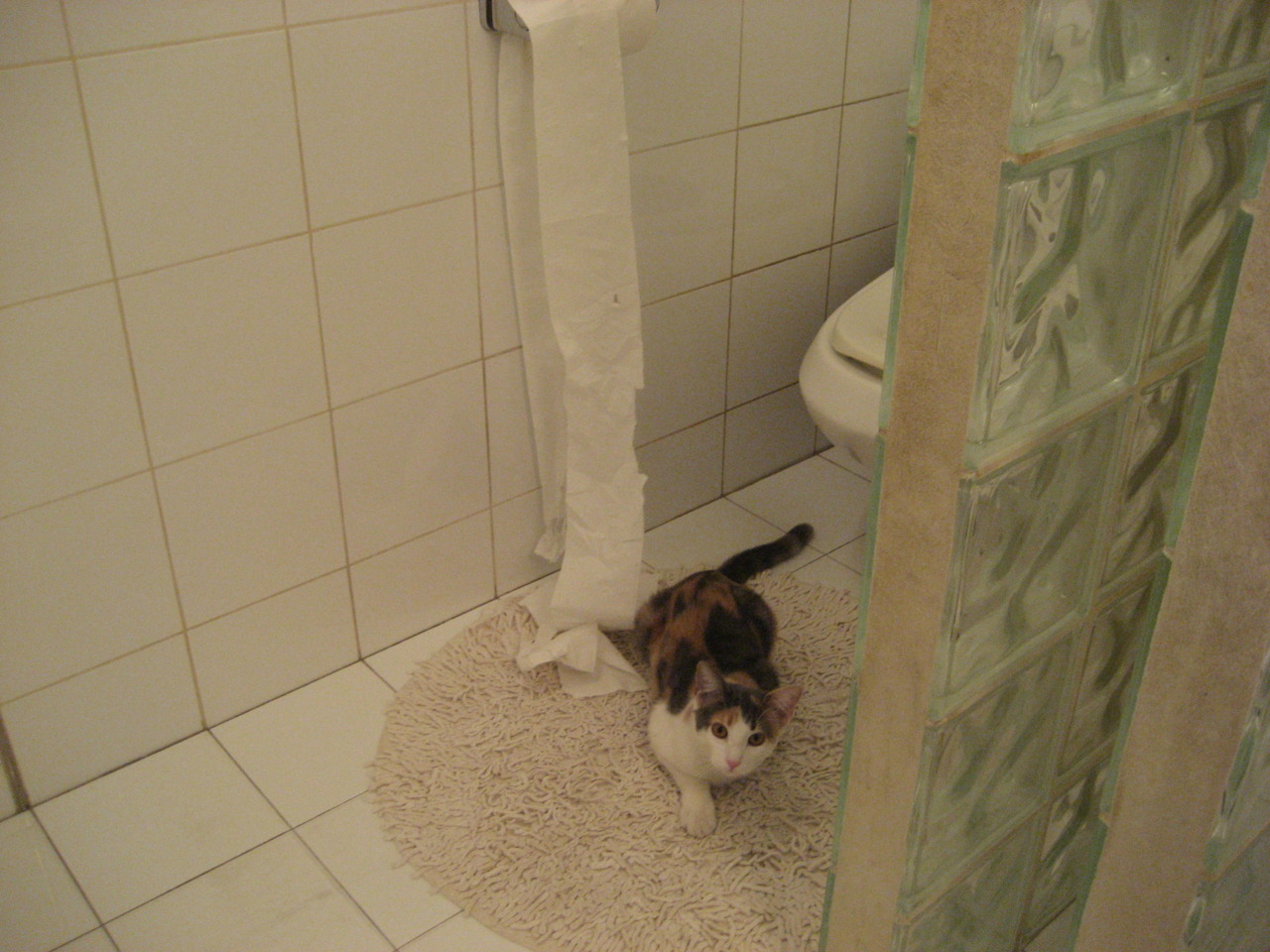 杜兰特关键进球定乾坤,篮网收割尼克斯