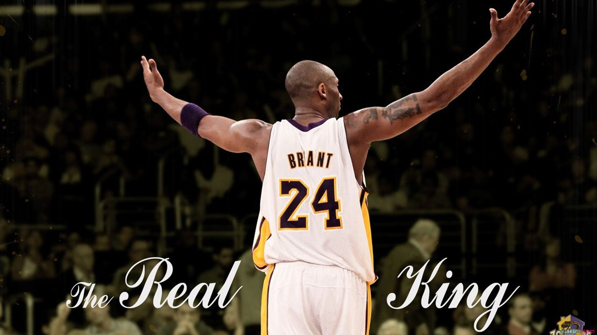 温网完胜拉沃尔杯，梅德韦杰夫带队取胜背后的网球世界格局变迁