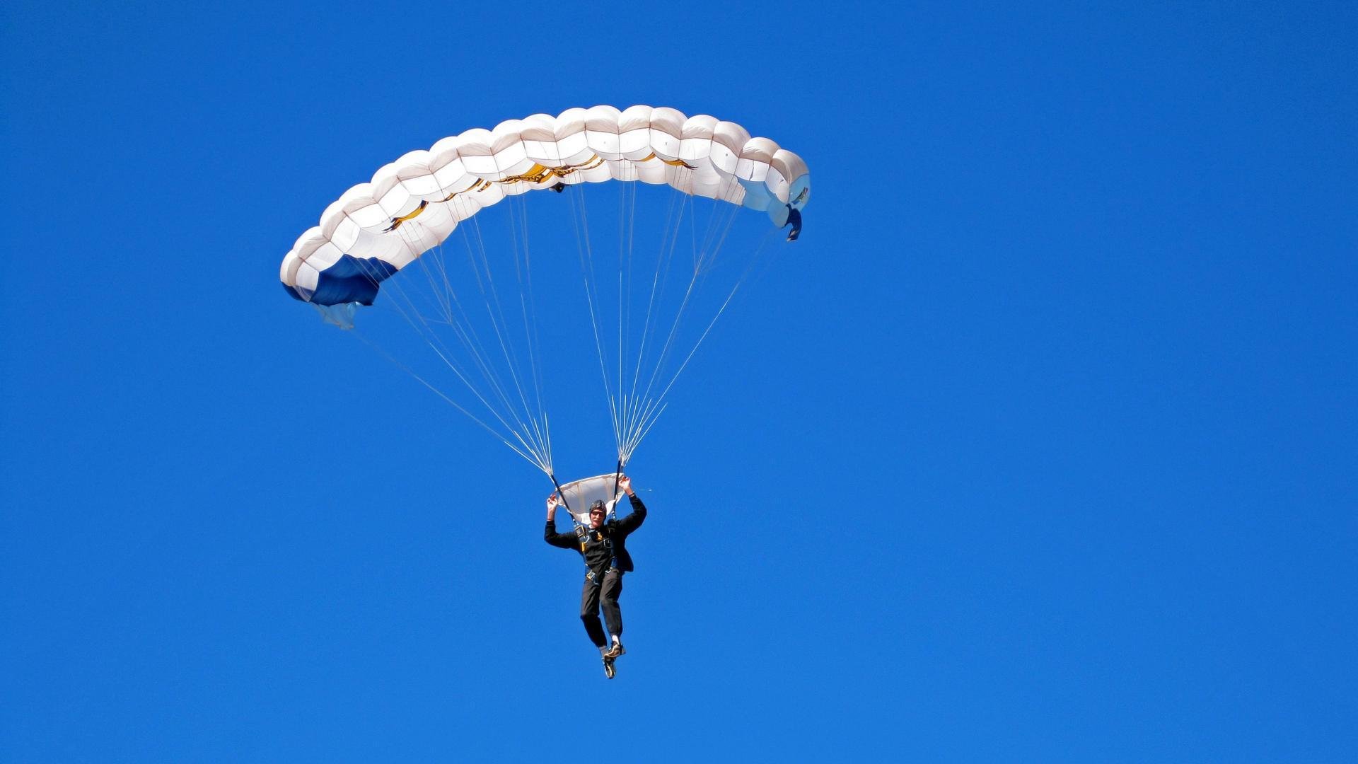 绿茵场上的横扫与乒乓台前的点燃，体育精神的多元交响